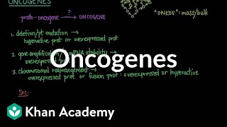 Oncogenes  Biomolecules  MCAT  Khan Academy [upl. by Broder]