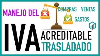 IVA Acreditable e IVA Trasladado 💲💲 Manejo del IVA en compras y gastos  Contabilidad Básica [upl. by Hannaj]