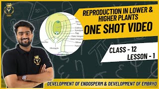 Class 12 Biology Chapter 1 Reproduction in Plants  One Shot  Ace Your Exams [upl. by Andrews]