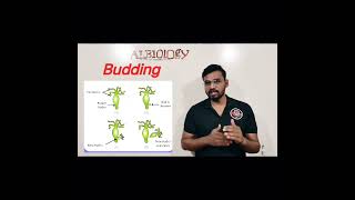 Budding  Hydra  Asexual reproduction  viral short  Avinash sir [upl. by Refinnaj]