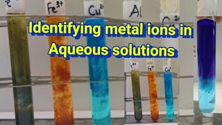 Identifying metal ions using NaOH  Test for cations  Hydroxide precipitate [upl. by Ahseenak569]