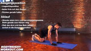 Erklärung Contralateral Limb Raise Deutsch Madbarz Bodyweight Fitness Video [upl. by Gredel]