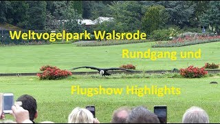 Weltvogelpark Walsrode  Rundgang und Flugshow Highlights [upl. by Hallsy]