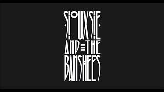 Siouxsie And The Banshees  Live in Leeds 1977 Full Concert [upl. by Angrist]