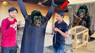 Gorilla Zoo Se Bhag Gaya 😰 Sath Hamari Murgi B Le Gaya 😭 [upl. by Anhaj659]