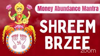 Shreem Brzee Live Chanting [upl. by Lartnom]