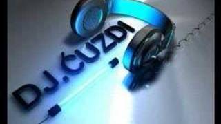 Dj Cuzdi vs Lepa Brena  Luda za Tobom Remix wwwdjcuzdiattt [upl. by Afnin]