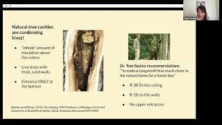 Science Behind a Vented Hive vs a Condensing Hive and an Intro to Hive Huggers  the Short Version [upl. by Yelsnik126]