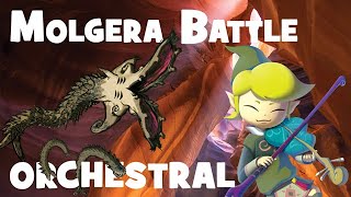 Molgera Battle  The Wind Waker Orchestral Remix [upl. by Mallina]