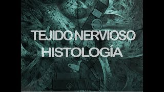 Tejido nervioso  Histología [upl. by Sadonia]