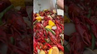 Backyard crawfish boil  food foodie cooking deliciousfood crawfishboil crawfish louisiana [upl. by Damicke]