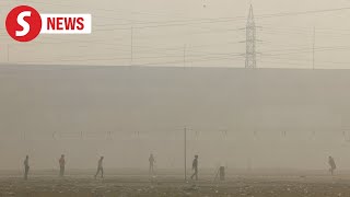 Feels like chilli powder in eyes No relief in sight for Delhi residents as toxic smog persists [upl. by Loseff940]