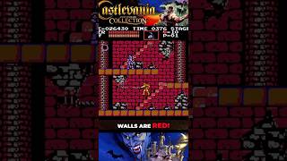 Surviving the Medusa Mayhem  Castlevania Tips [upl. by Nueoras]