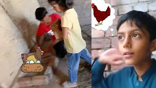 How to make a place to lay eggs for Desi chickensMurgi ko anda dene ke Liye jagah kaise banaye [upl. by Balling]