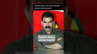 Apo piçtir piç kalacakabdullahöcalan gündem hayatiinanc komik kurtlarvadisi yusufdikec [upl. by Aisor]