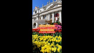 Over 35000 Easter Flowers to Adorn St Peters Square [upl. by Kirkwood]