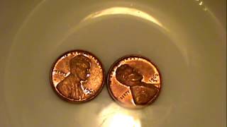 3 Top methods of cleaning pennies [upl. by Kaenel]