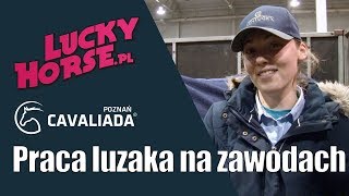 Cavaliada  Jak wygląda praca luzaka na zawodach [upl. by Eatnoj170]