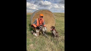 Montana Upland Hunting 2021 Part 1 [upl. by Eelimaj]