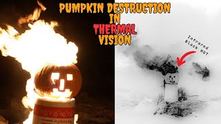 Pumpkin Destruction in Thermal Vision  Halloween Special [upl. by Aaren]