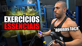 10 exercícios essenciais na musculação [upl. by Lyram]