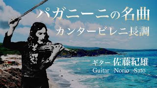 【フルートampギター】fluteampguitar  パガニーニ  カンタービレ  Paganini  Cantabile [upl. by Vale266]