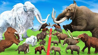 Woolly Mammoth vs Mastodon Fight Which is More Powerful Prehistoric Mammals VS Prehistoric Mammals [upl. by Haymes361]