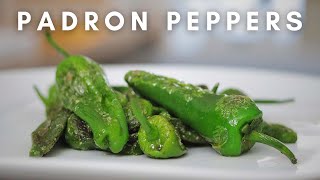 Padron Pepper roulette Will you get a HOT one [upl. by Cumine]