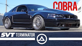 Nasty 750 Horsepower Terminator Cobra Whipple Supercharged  2003 SVT Shelby Mustang [upl. by Bertilla]