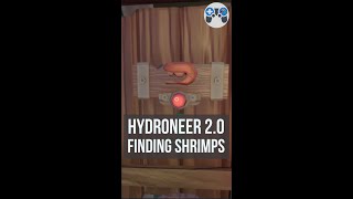 Hydroneer  Finding Shrimps Is Easy [upl. by Berkow]