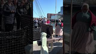 The best experience in Boston  The Boston tea party reenactment [upl. by Notrub]