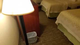 Days Inn Hotel Room Greenfield MA [upl. by Budwig]