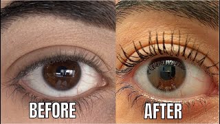 before amp after EYELASH GROWTH SERUM  VieBeauti REVIEW [upl. by Abana]