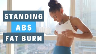 🤩 STANDING ABS BURN  DUMBBELL CORE WORKOUT [upl. by Llehsad951]