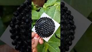 DIY hat hairclip😱diy craft viralshorts youtubeshorts [upl. by Colver]