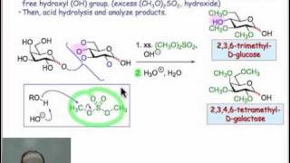 Analyzing Lactose Disaccharides in Detail [upl. by Staford]