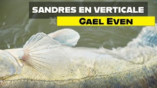 Pêche du sandre en verticale  les conseils de Gaël Even [upl. by Gauntlett]