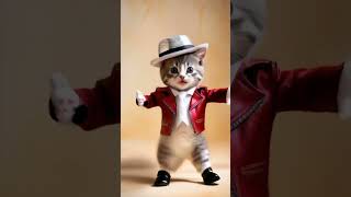 Gatitos Bailando cat gatobaila cute gatobailando catlover ia pets petlover fun funnyvideo [upl. by Kisung]