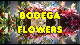 Bodega Flowers 💐 flowers nyc bodegas cinematic moodyphotography [upl. by Dhar618]