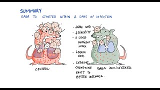 Early Treatment with GABA Reduces SEVERE COVID and Deaths in Mice Study [upl. by Dnomra]