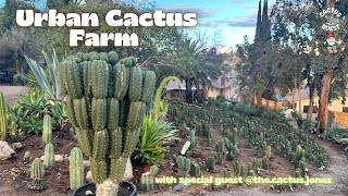 Urban cactus farm tour The Cactus Jones Trichocereus [upl. by Rehprotsirhc]