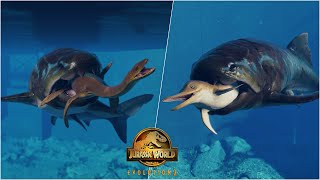 Dunkleosteus Deadly Hunting Animations vs All Marine Reptiles including Mosasaurus and Kronosaurus [upl. by Mich]