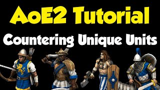 Beginners guide to countering every Unique Unit AoE2 [upl. by Jordon515]