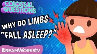 Why Do Body Parts “Fall Asleep”  COLOSSAL QUESTIONS [upl. by Ger91]