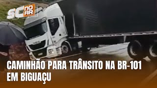 Queda de árvore bloqueia SC402 e caminhão para trânsito na BR101 em Biguaçu [upl. by Ocirederf]