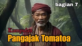 Kumpulan Pangajak Tomatoa bagian 7  Nasehat orang tua Bugis zaman dulu [upl. by Skiest]