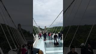 A marvel of engineering Glass bridge in Zhangjiajie [upl. by Eillek]