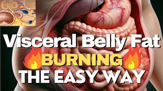 Burn your Visceral Belly Fat  The EASY Away – Science Guide fat health weightloss visceralfat [upl. by Nnitsuj]