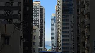 FAVORITE SPOT FOR PHOTO 📸 📷 SHOOT SAI YING PUN CENTRE STREET HONGKONG shorts shortvideo trending [upl. by Dnar]