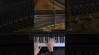 Chopin  FantaisieImpromptu Op 66 [upl. by Ahtebbat874]